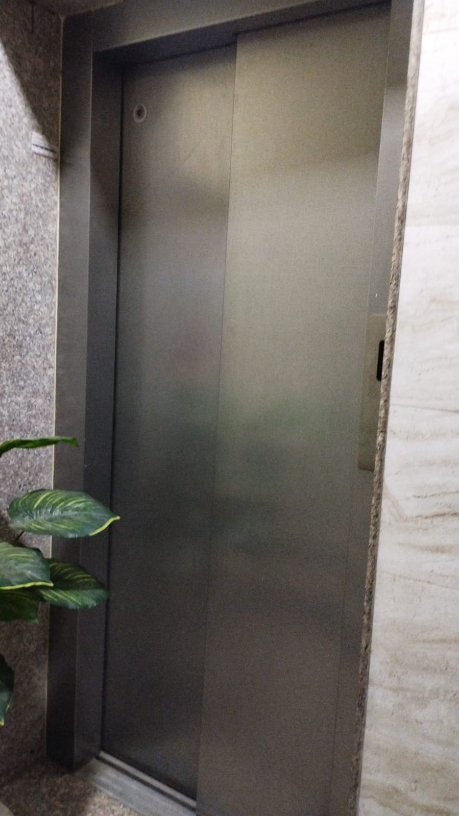 WhatsApp Image 2026-01-31 at 12.40.33 AM (1)